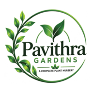 Pavithra Garden