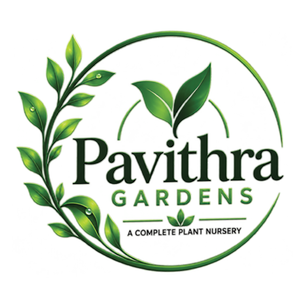 Pavithra Garden